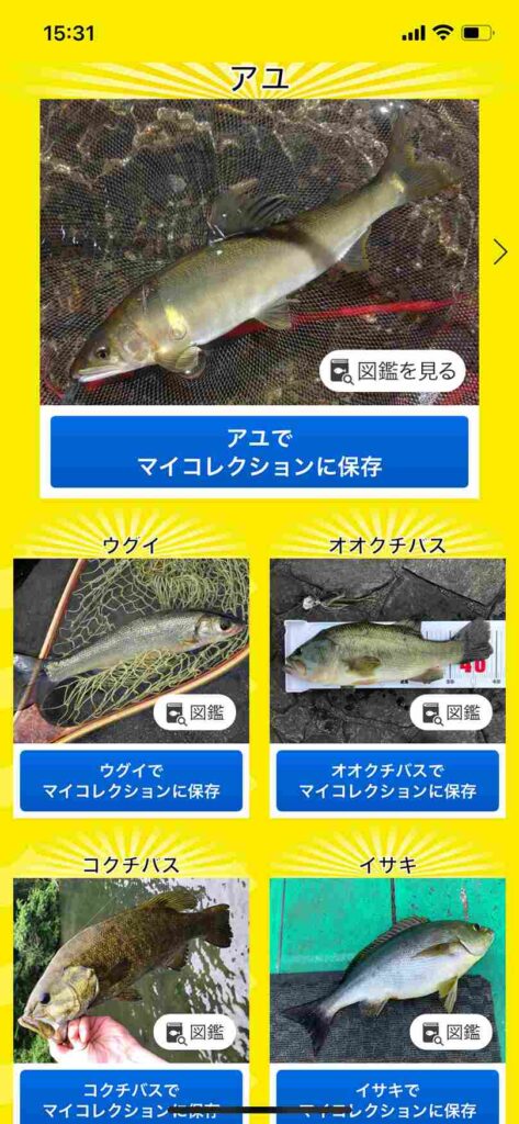 AI魚検索アプリ「フィッシュ」での川魚の検索結果　ウグイ