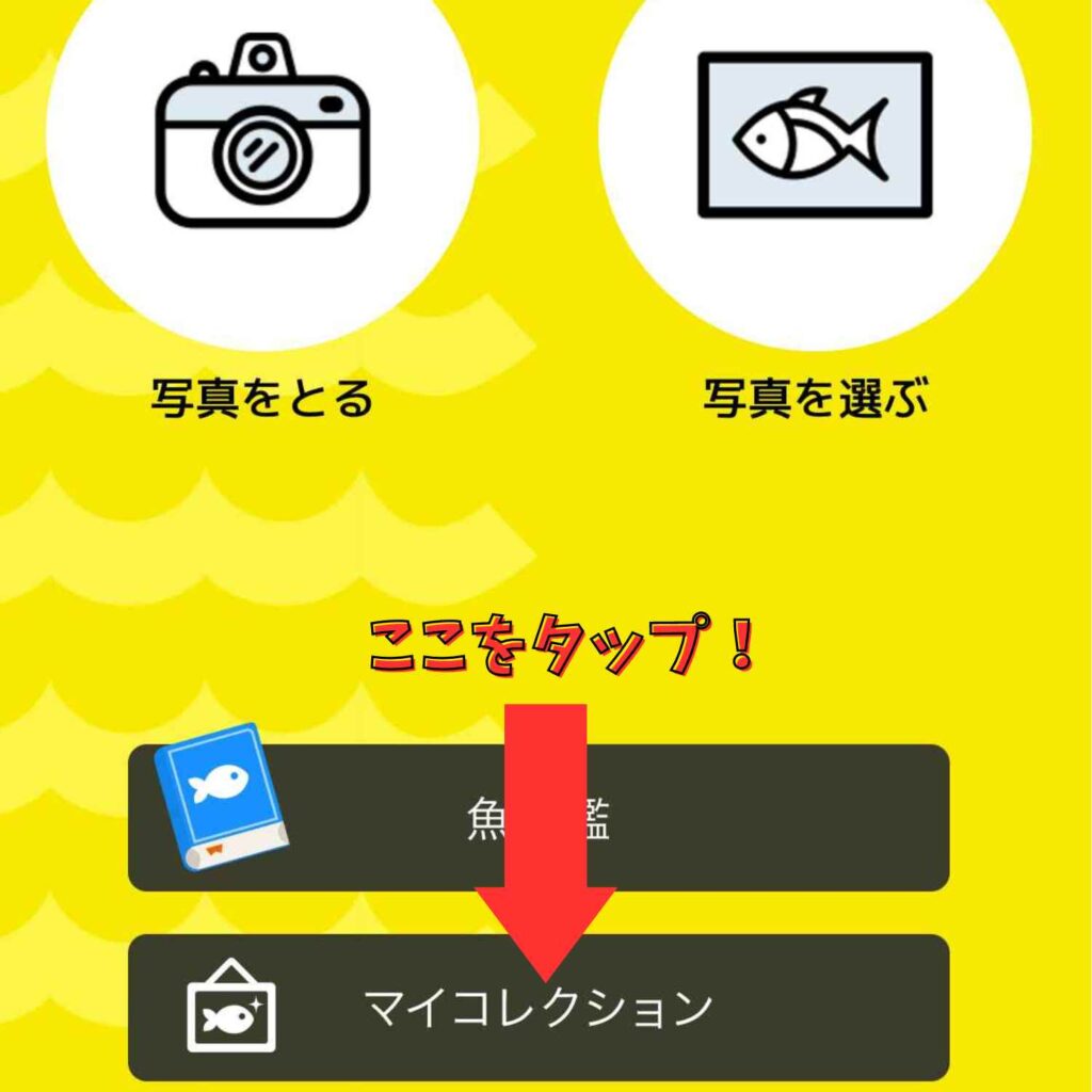AI魚検索アプリ「フィッシュ」のマイコレクション画面への行き方